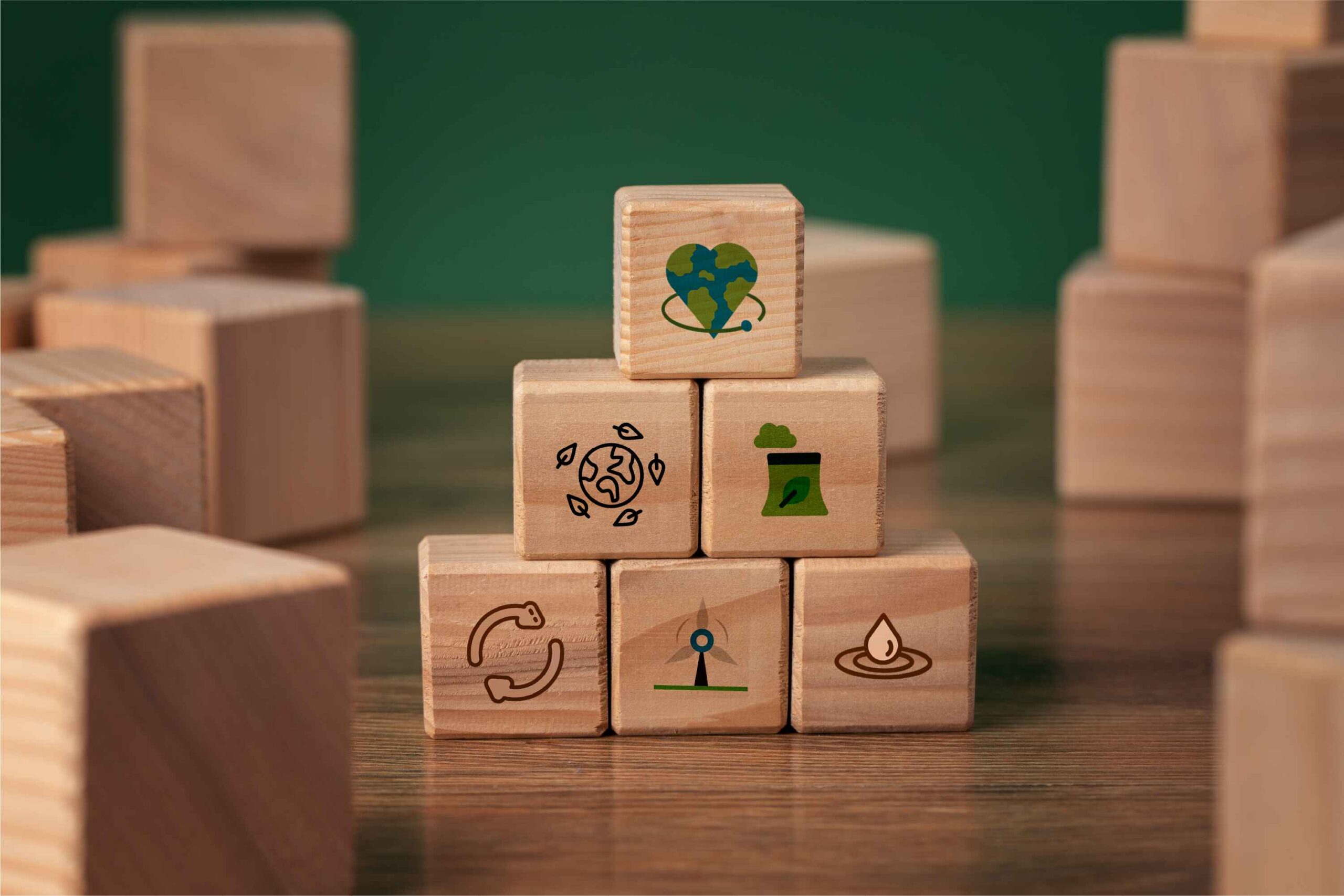 Achievements and Challenges of Sustainable Development